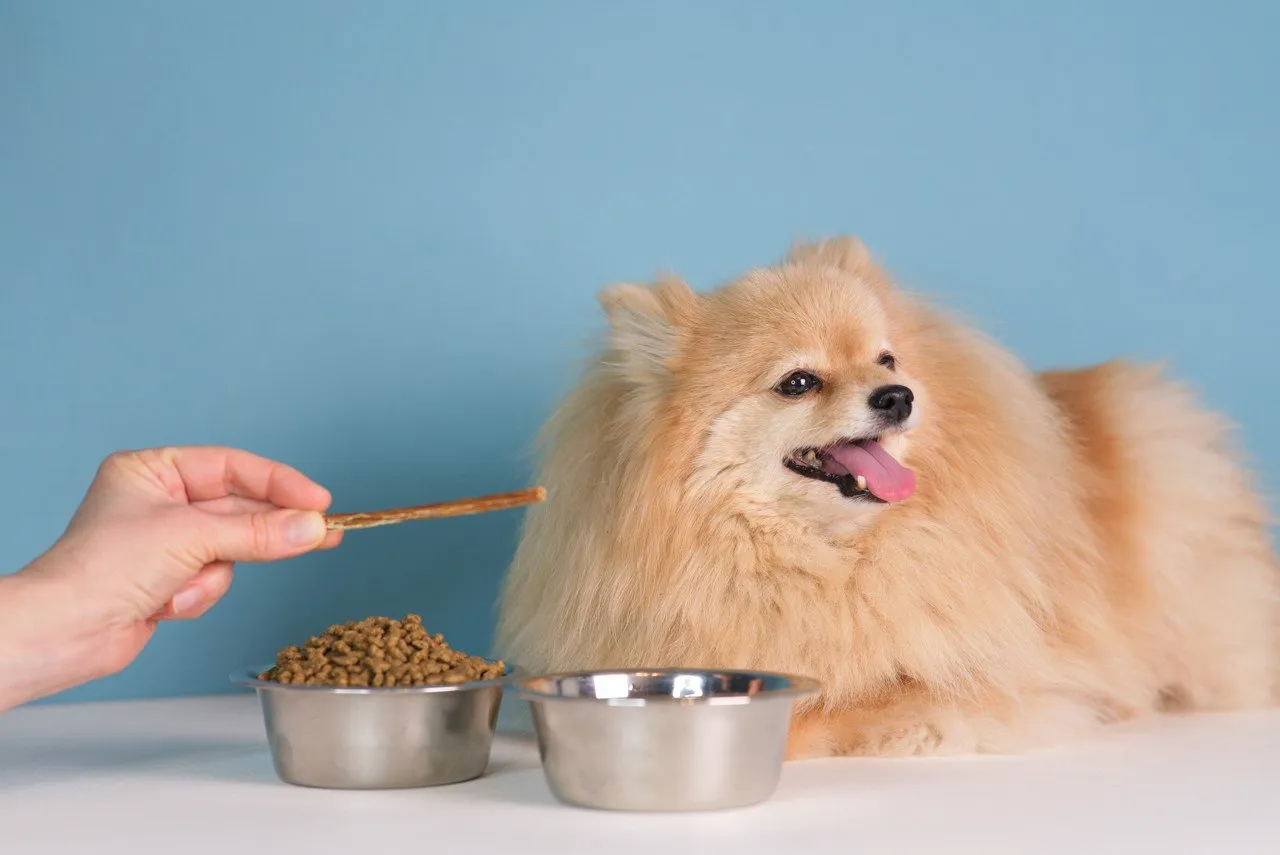 https://assets.wanlianyida.com/industry-uniapp/web/static/image-default.BtYt8t8Z.png