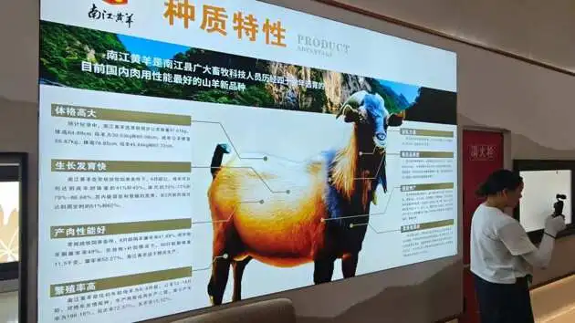 https://assets.wanlianyida.com/industry-uniapp/web/static/image-default.BtYt8t8Z.png