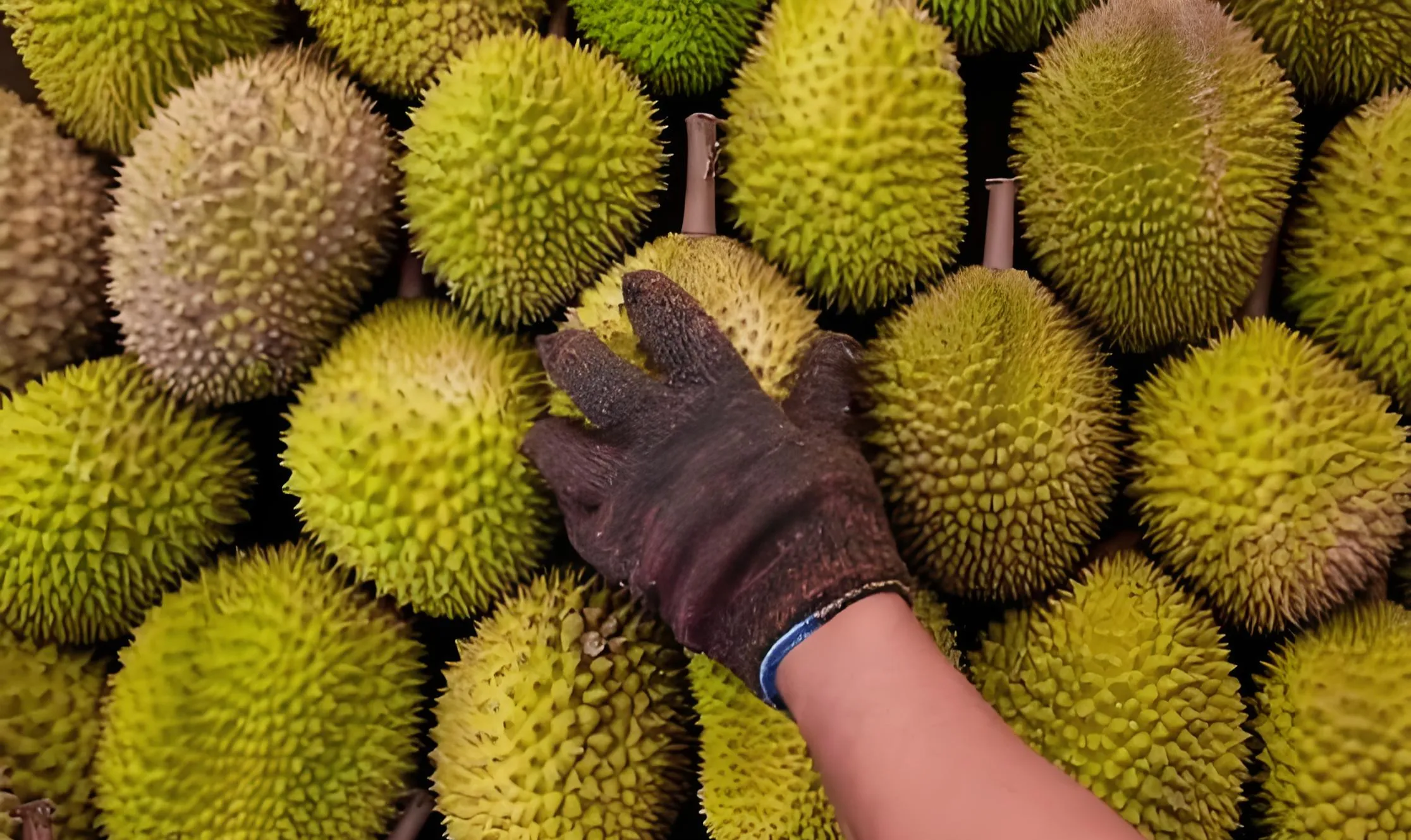 https://assets.wanlianyida.com/industry-uniapp/web/static/image-default.BtYt8t8Z.png